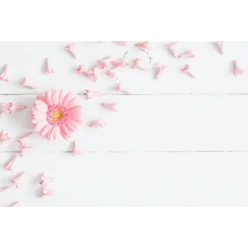 Organic Gebera Flower